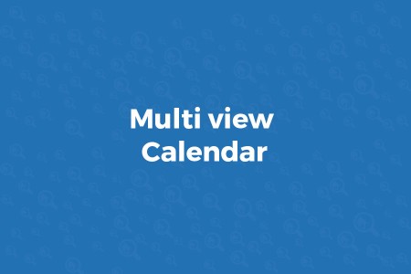 multi view calendar