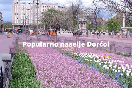 dorcol